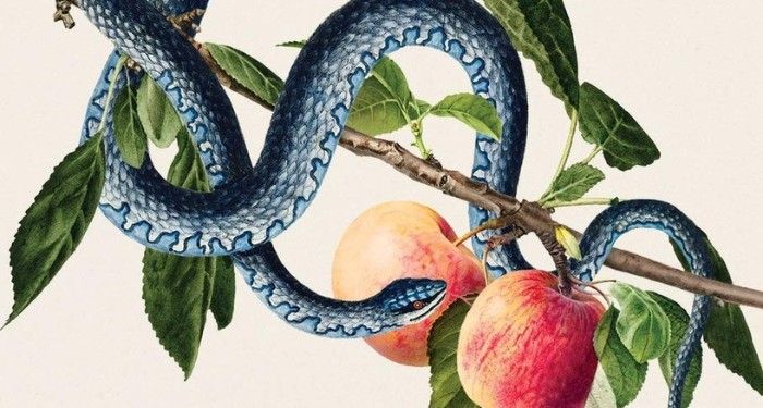 Wayward partial cover